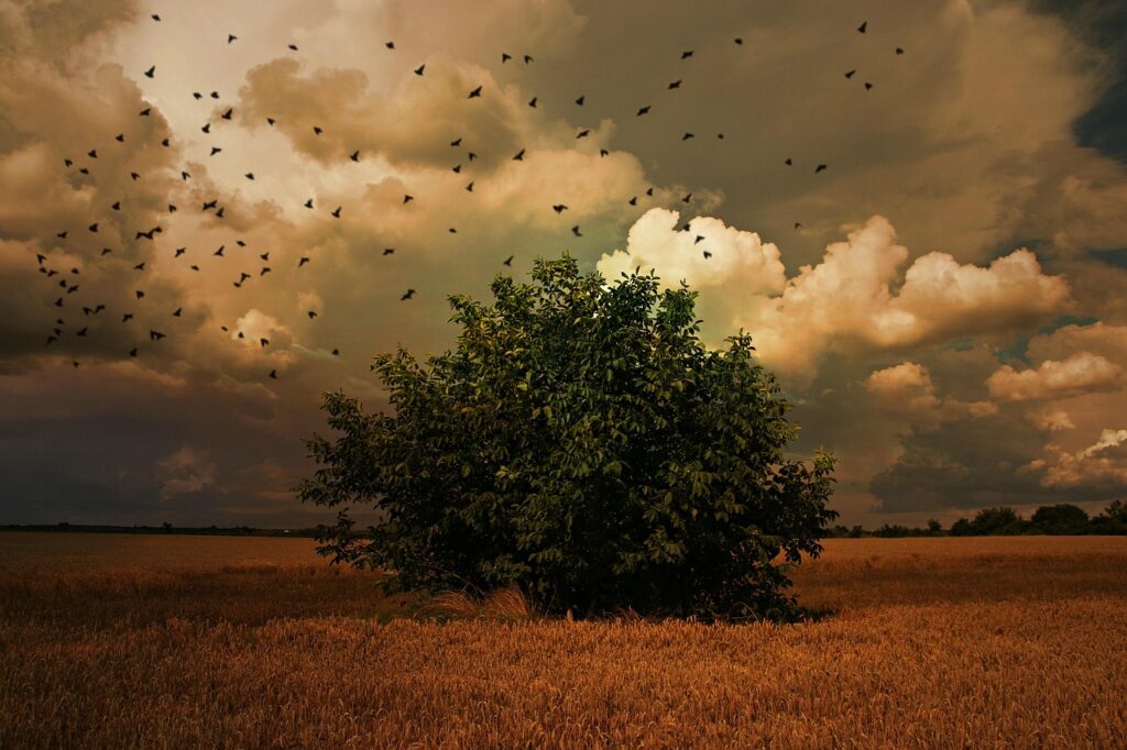 les oiseaux s'envolent de l'arbre en plaine